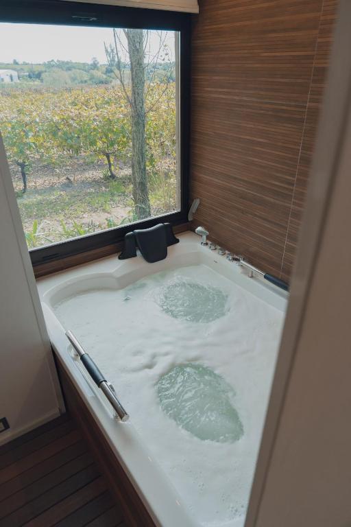 Pizzorno Lodge & Wine - Habitación Doble De Lujo Con Baño