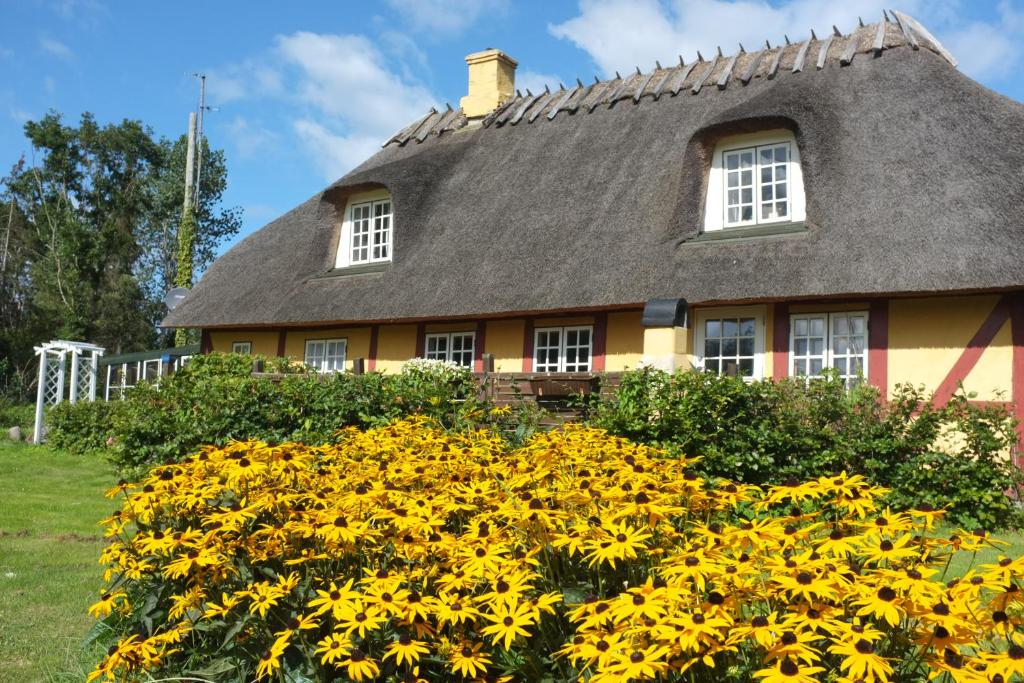 ein Haus mit gelben Blumen davor in der Unterkunft Langeland Holiday House in Hou