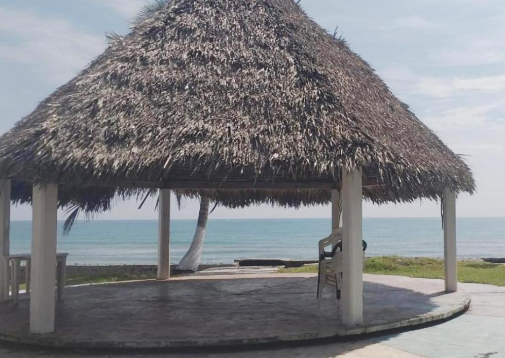 Příroda nedaleko hotelu