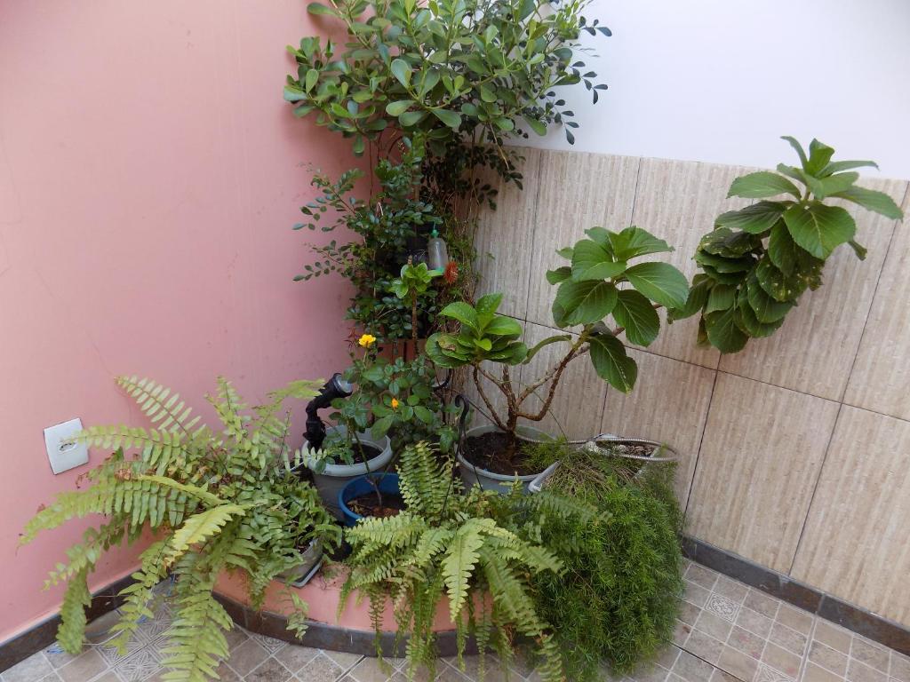  Albergue Rio Vermelho