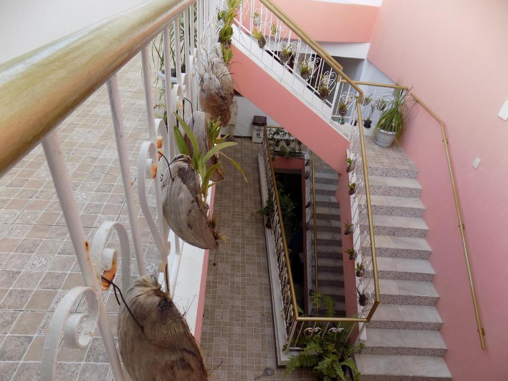  Albergue Rio Vermelho