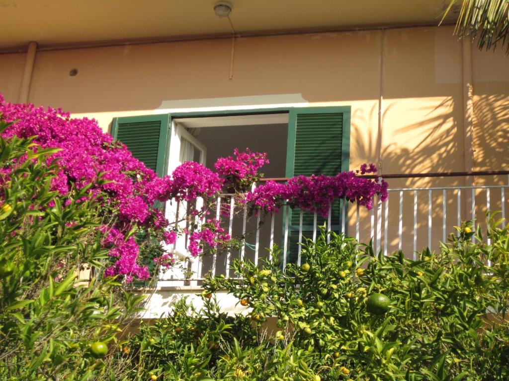 Zahrada ubytování Hotel Villa Degli Aranci