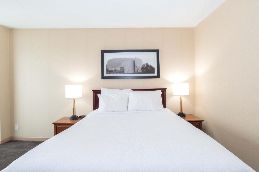Postel nebo postele na pokoji v ubytování Sandman Hotel Lethbridge