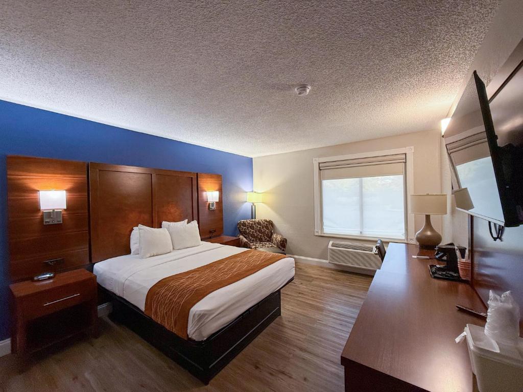Comfort Inn & Suites St Louis-Hazelwood - Queen Room - Accessible/Non Smoking