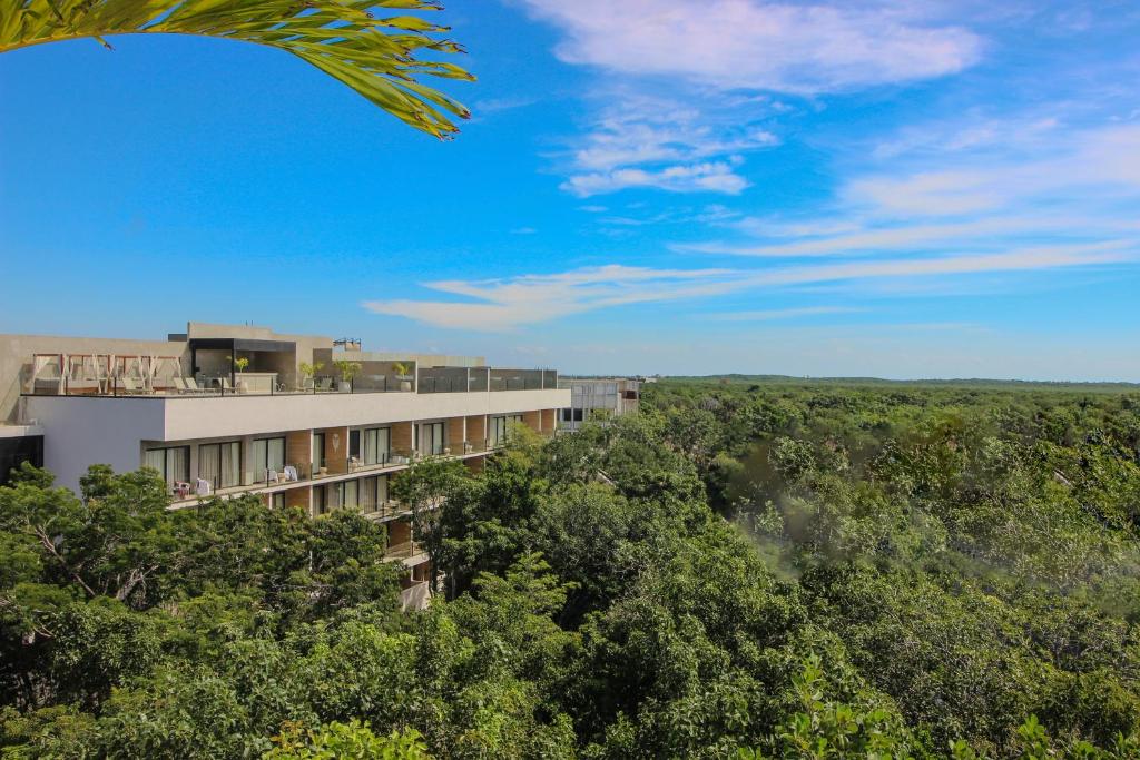 Naturlandskabet i nærheden af lejligheden