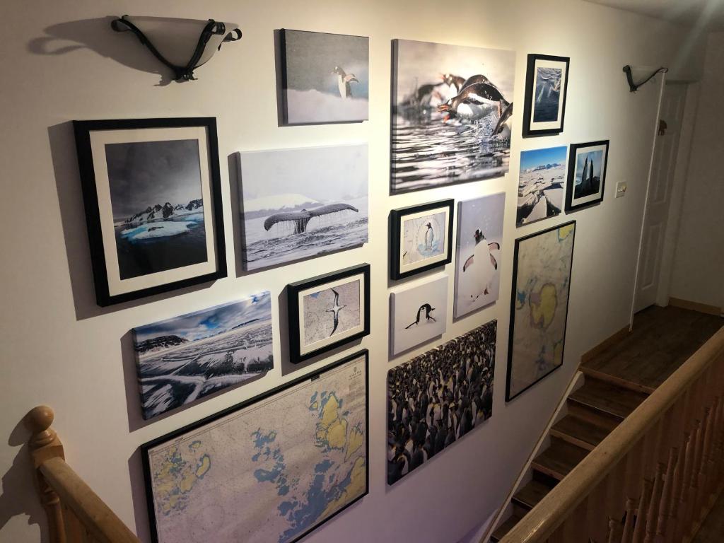 Fotografie z fotogalerie ubytování Inukshuk Rooms v destinaci Churchill