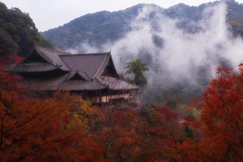 a pagoda in the middle of a mountain in the clouds at JW Marriott Hotel Nara in Nara