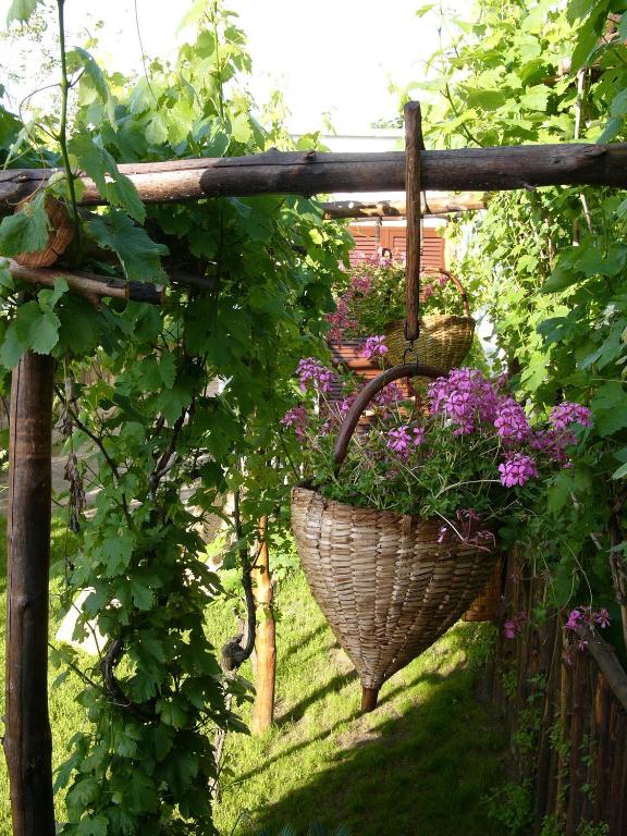 a basket of flowers hanging from a fence at Albergo 'La Vigna' in Procida