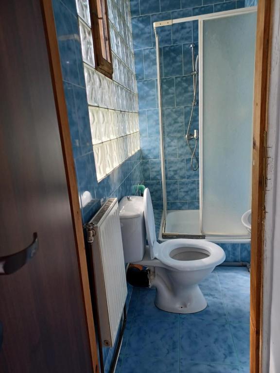 Koupelna v ubytování Vila Oltețul