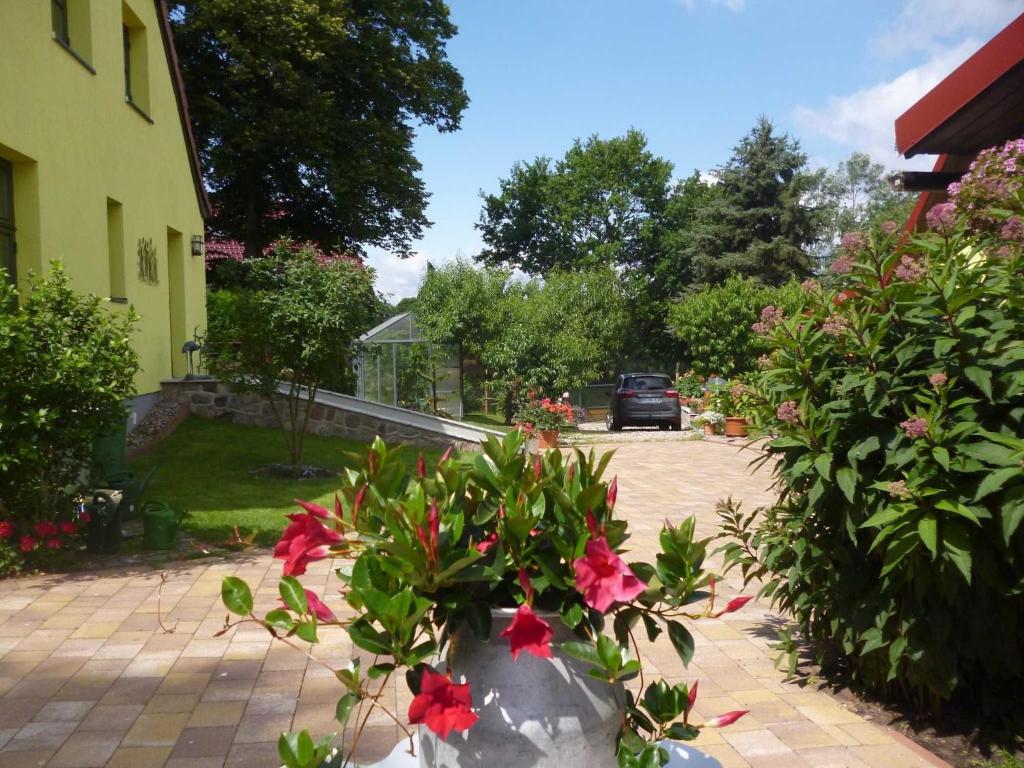 a vase filled with red flowers in a yard at Ferienwohnung Petra Bargel "die Nr 1"in Speck in Speck