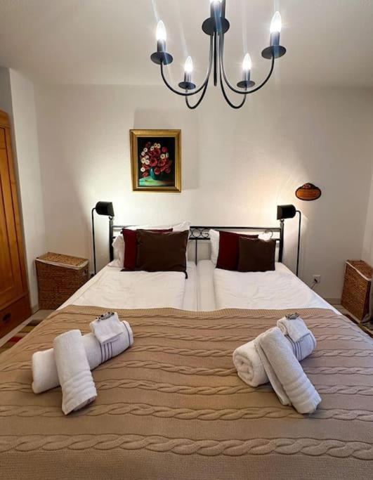 Postel nebo postele na pokoji v ubytování Charming apartment in Kandersteg