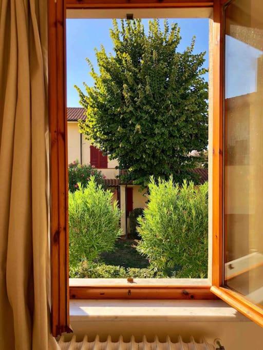 Zahrada ubytování Casa La Lilla