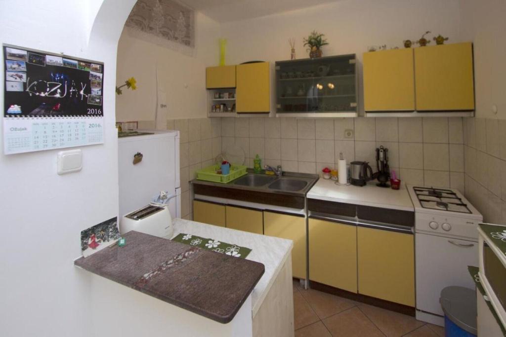 Kuchyň nebo kuchyňský kout v ubytování Apartment Brane
