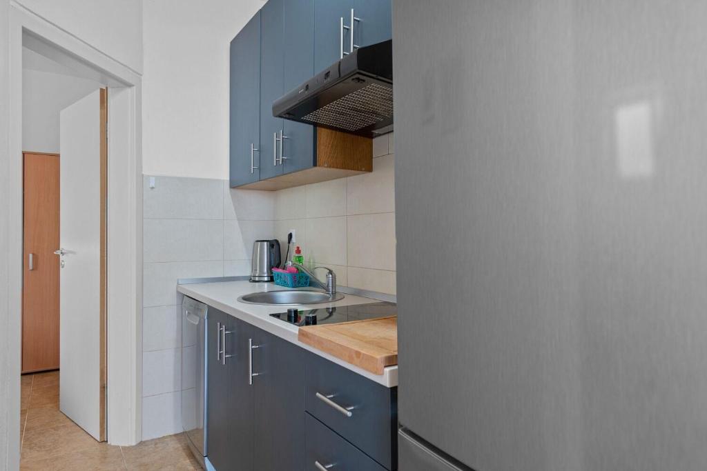 Kuchyň nebo kuchyňský kout v ubytování Apartment Uga2