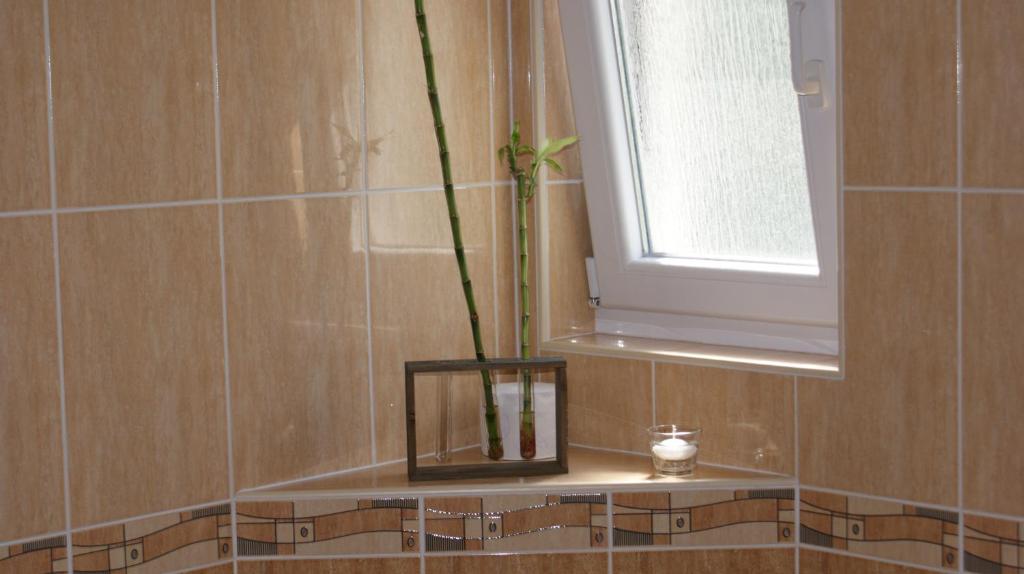 Apartments Nika - 18