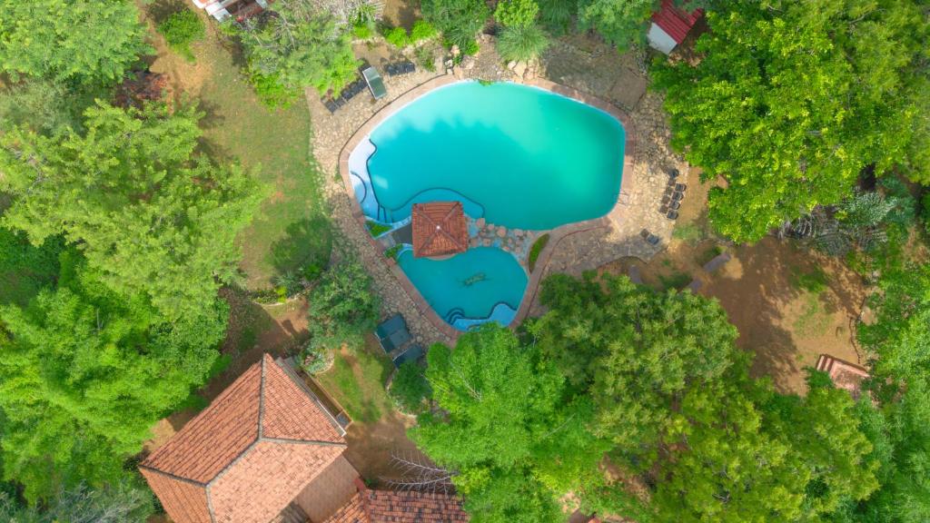 Πισίνα στο ή κοντά στο Indian Adventures Tiger Moon resort