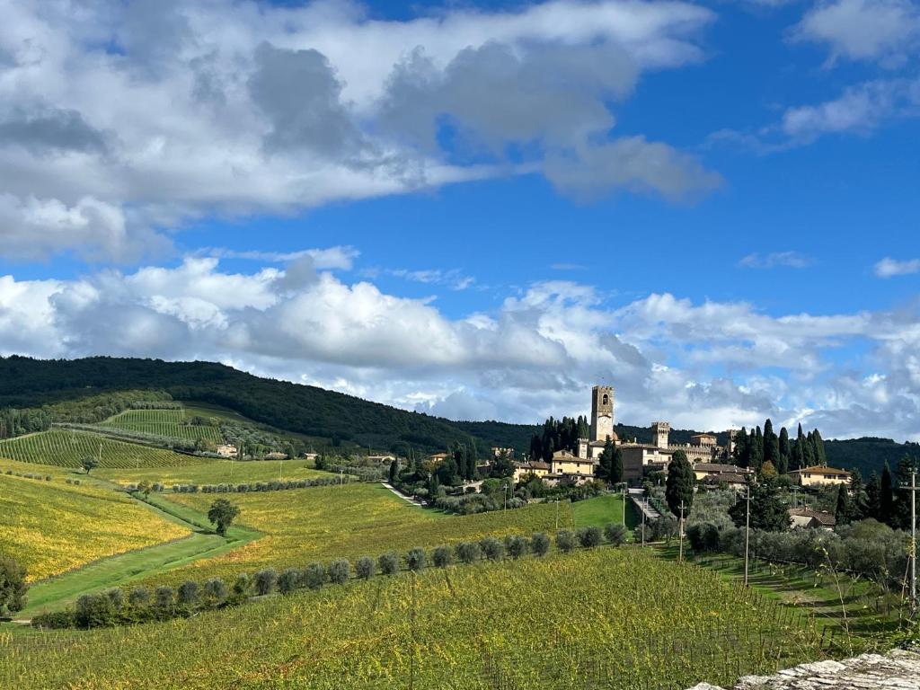 Badia A PassignanoIl Fiorino di Badia的一片绿色的田野,远处有一座城镇