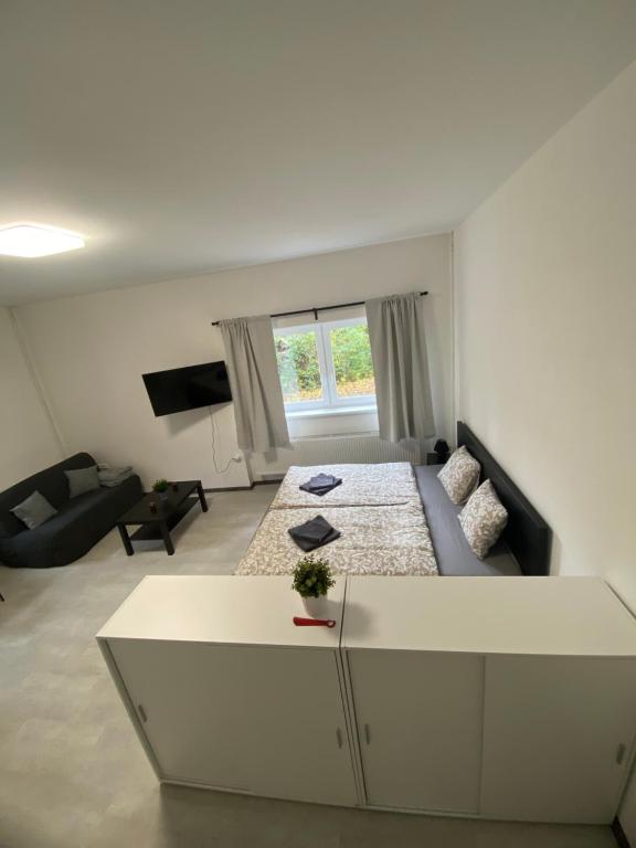 TV a/nebo společenská místnost v ubytování Guest Room Turnov