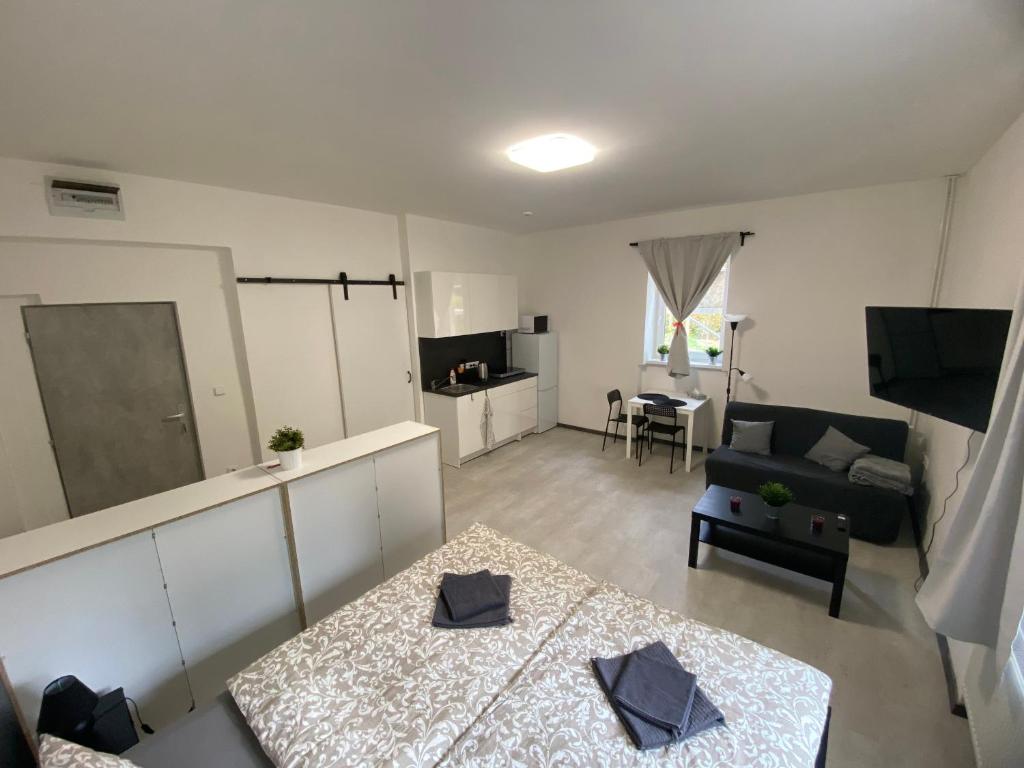 TV a/nebo společenská místnost v ubytování Guest Room Turnov