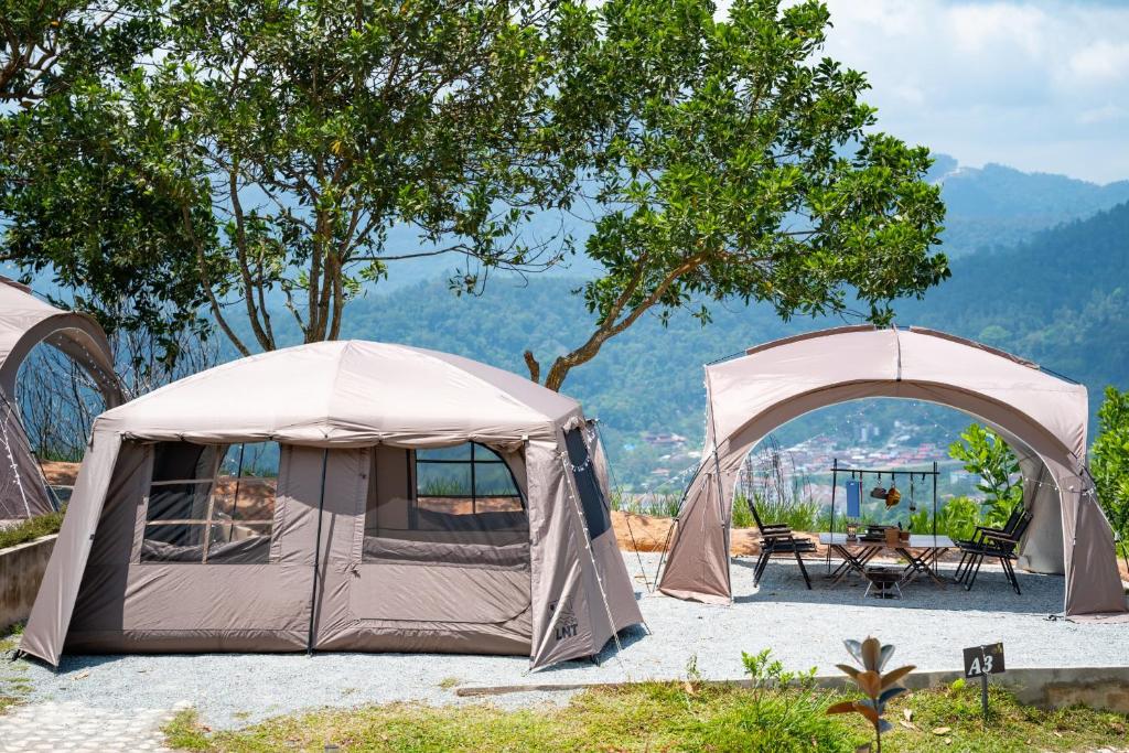Příroda nedaleko luxury tent