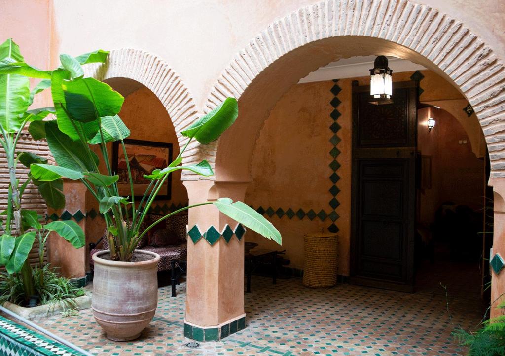 Zahrada ubytování Riad Amirat Al Jamal