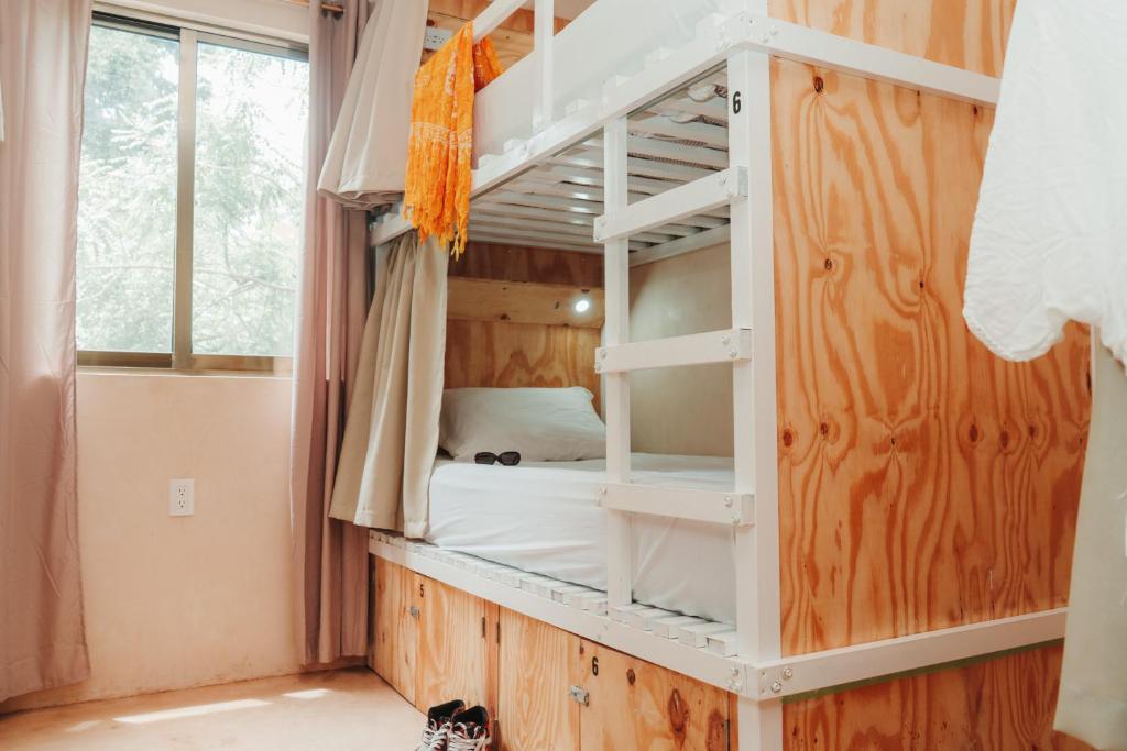 Che San Cristobal de las Casas Hostel