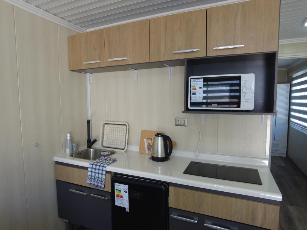 a small kitchen with a sink and a microwave at Hotel Cecil in Vallenar