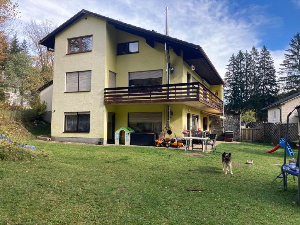 Zahrada ubytování F&F Apartment