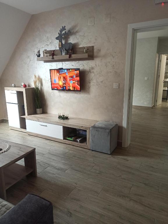 TV a/nebo společenská místnost v ubytování Apartman Maksimović Divčibare