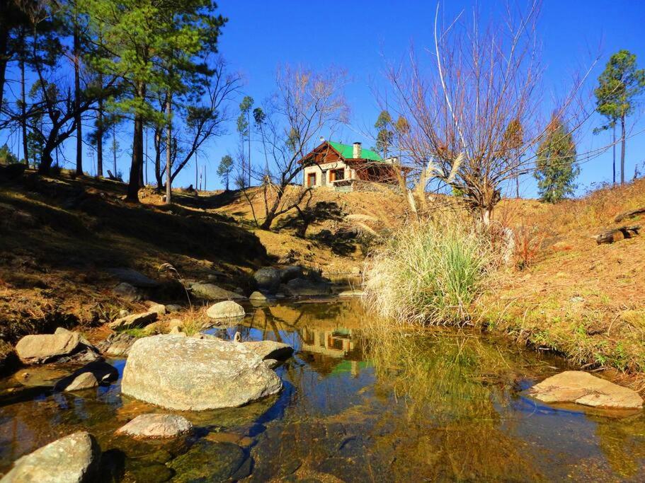 Cabaña villa alpina Mantillo de bosque