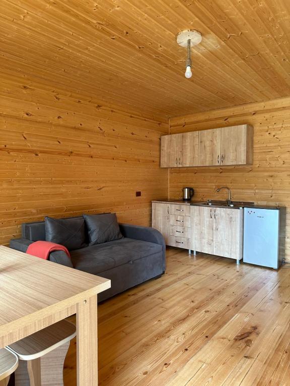 a living room with a couch and a kitchen at Kvela Cottage - ყველა კოტეჯი in Gori