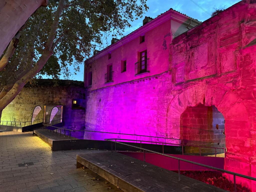 Fotografie z fotogalerie ubytování MURALLAS DE REVELIN & LAUREL -casco antiguo- v destinaci Logroño