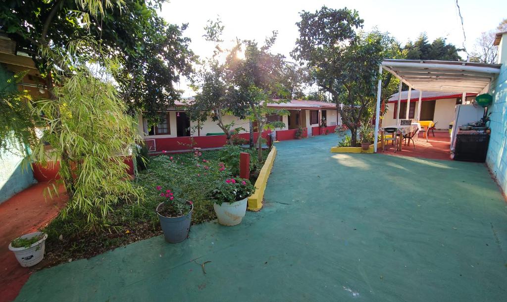 a yard with potted plants and a building at peixes apart in Puerto Iguazú