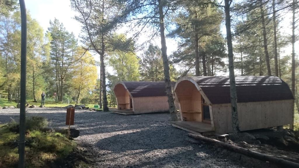 a couple of huts in a forest at Camping Pod Heaven in Brackla