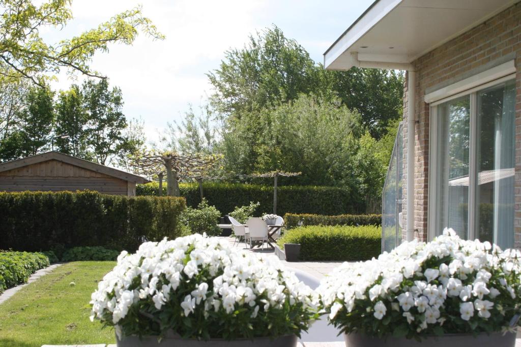Zahrada ubytování Villa Envie
