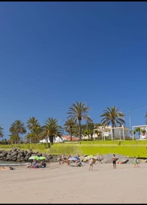 a group of people on a beach with palm trees at Piscina club pasito blanco in Pasito Blanco