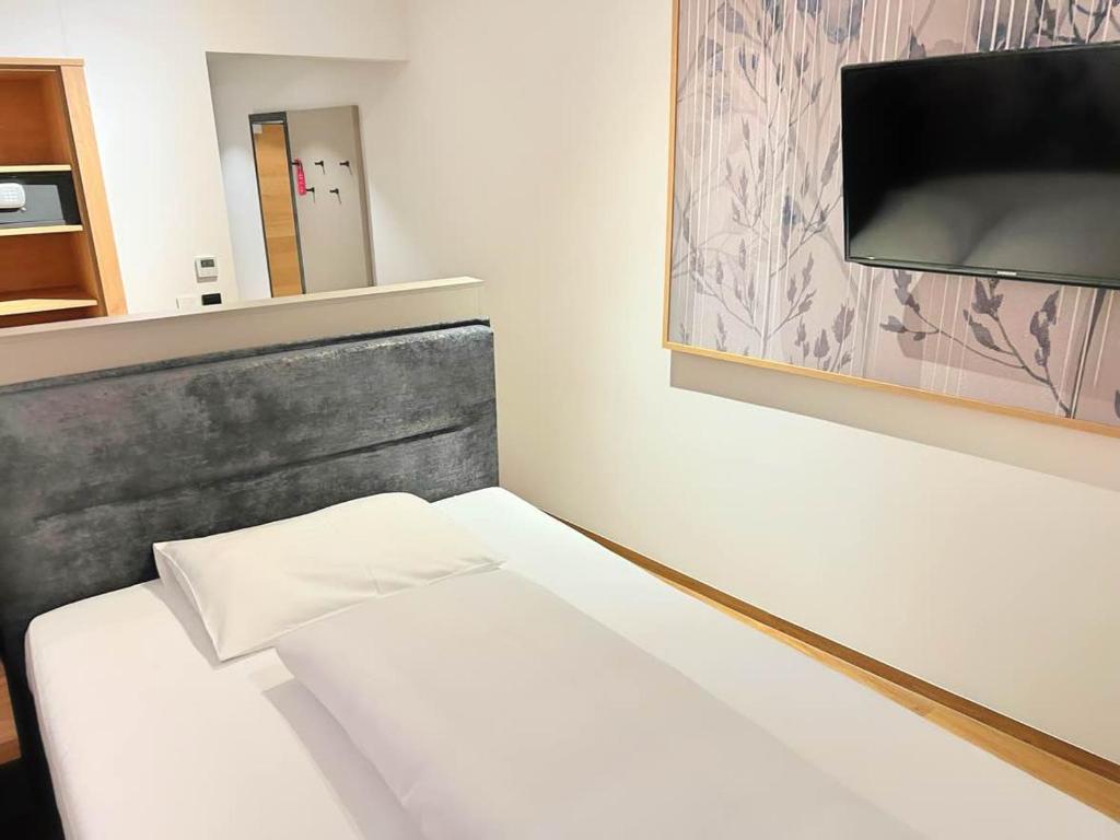 TV a/nebo společenská místnost v ubytování Hotel Hecher
