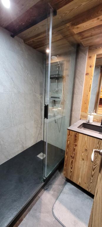 a glass shower in a bathroom with a sink at Grands studios vue sur lac in Tignes