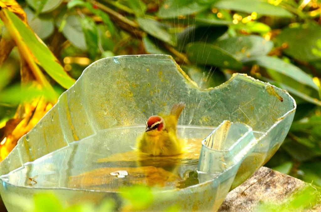 Refugio de naturaleza
