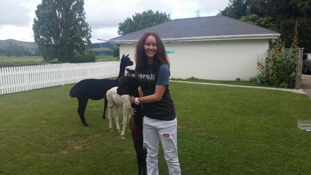 Homestead B&B Cambridge - Resim 36