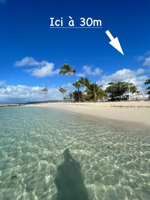 a shadow of a person in the water on a beach at Plage St-Anne T2 duplex sans vue in Sainte-Anne
