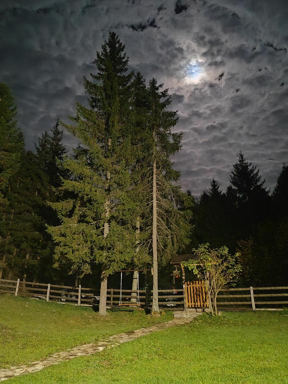 Fotografie z fotogalerie ubytování Ma Ritz v destinaci Zaovine