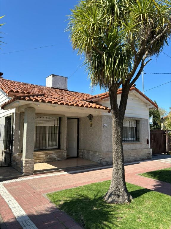 a palm tree in front of a house at Chalet Los Primos in Miramar
