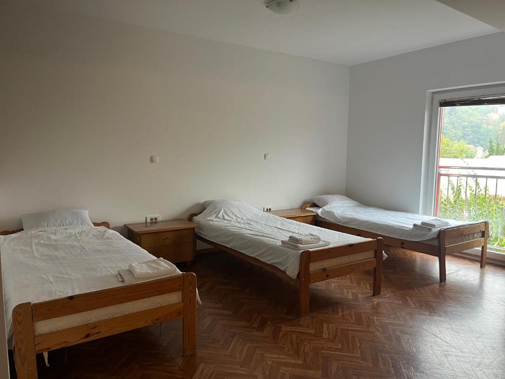 Postel nebo postele na pokoji v ubytování Prenočišče Buco
