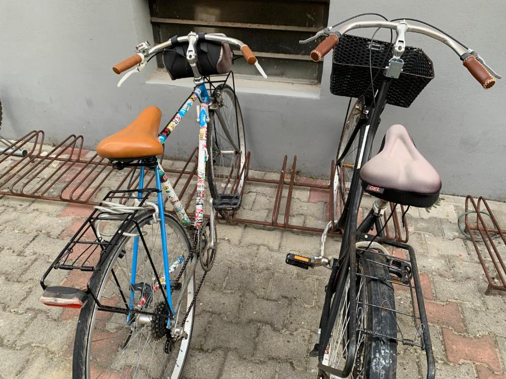 Attività di ciclismo presso l'appartamento o nelle vicinanze