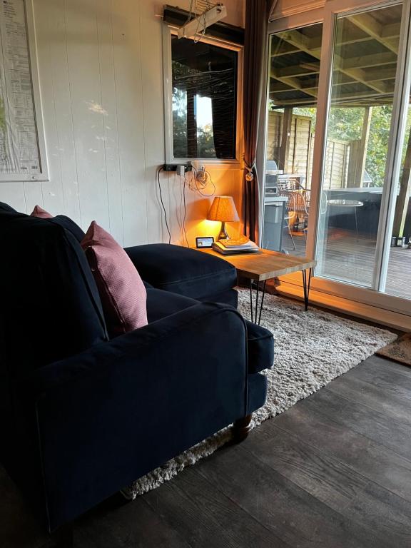 Posezení v ubytování Lynbrook Cabin and Hot Tub, New Forest
