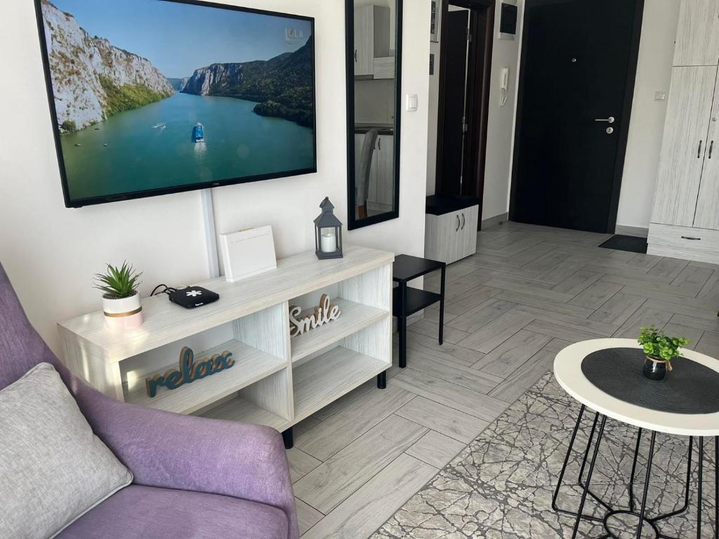 TV a/nebo společenská místnost v ubytování Apartman 3N