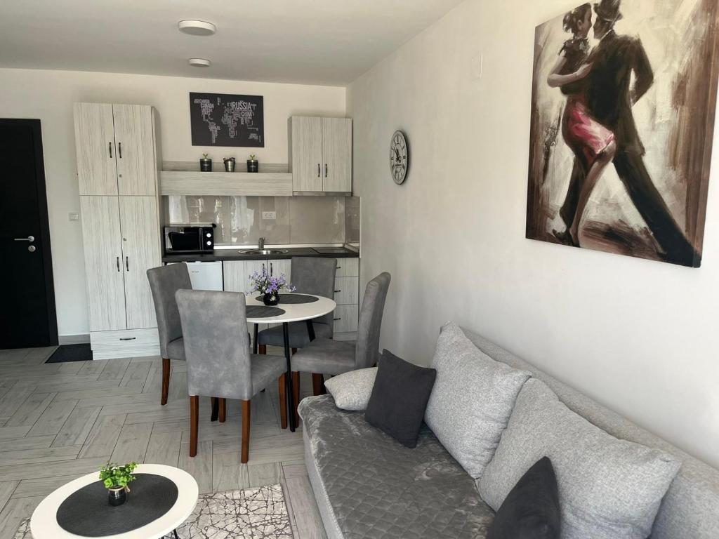 Kuchyň nebo kuchyňský kout v ubytování Apartman 3N