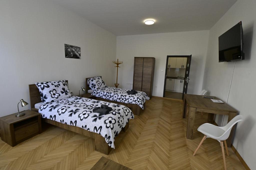 a bedroom with a bed and a desk and a tv at Ubytování u Ráfy 2 in Pelhřimov