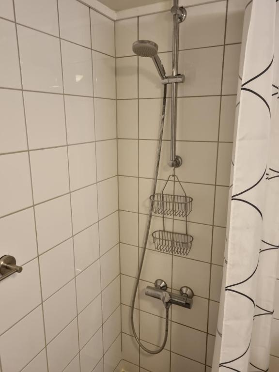 Photo from Brygga B&B Trondheim sentrum, privat rom i vårt hjem in Skansen, , Norway